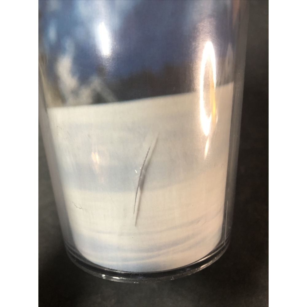 Travel Tumbler Eagles Snow Wildlife 14oz Coffee Mug Cup Plastic - Picture 2 of 6